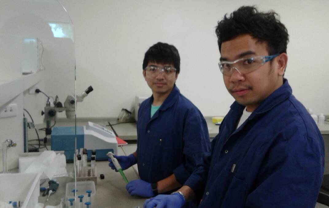 IN THE FIELD: Chaiyanan (Ohm) Munee and Bint (Billy) Parawat Billabong working in the laboratory at Charles Sturt University's Orange campus.