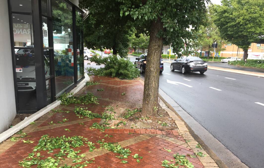 Messy: A brief storm on Monday brought down tree branches on Summer Street.
