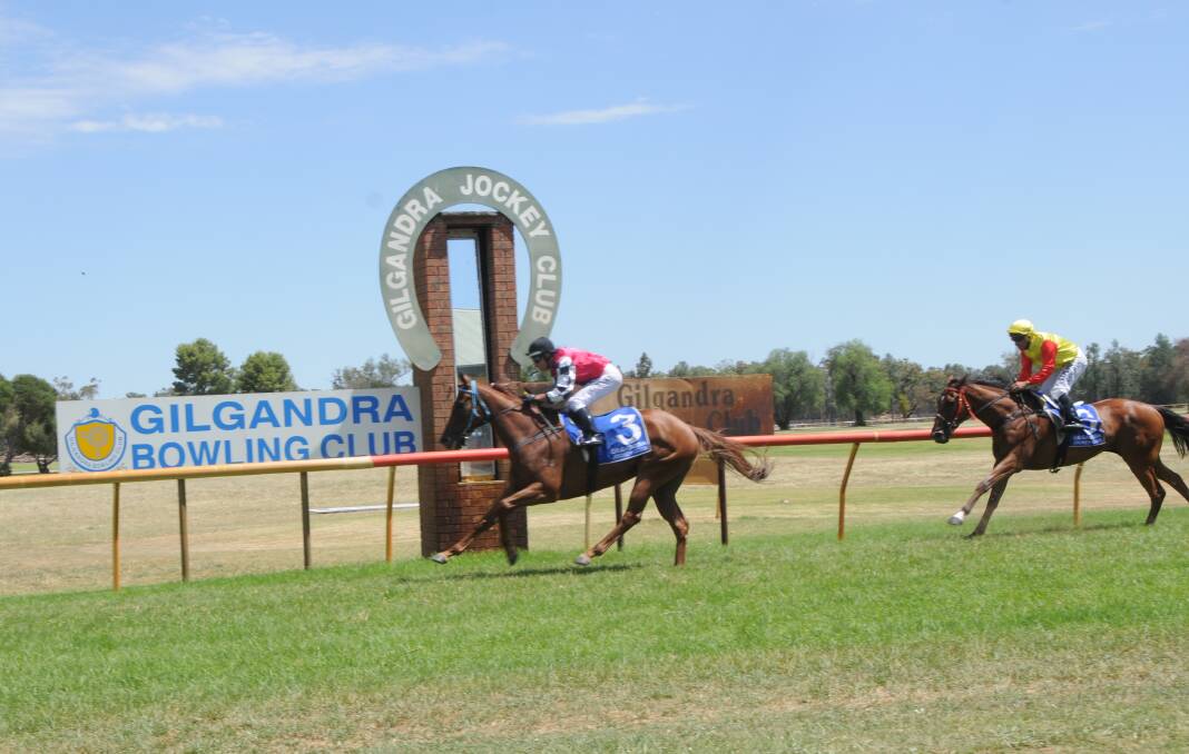 NO SIGN OF INJURY: Greg Ryan guides Artictic Beauty home ahead of Try ‘N’ Run A Muck in the 2018 Gilgandra Cup. Photo: JENNIFER HOAR