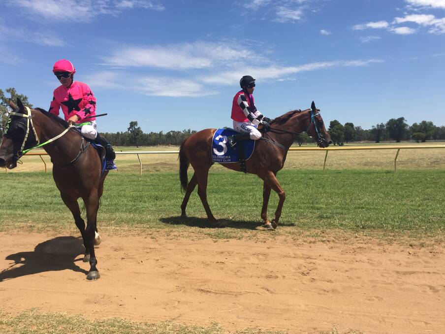 WHAT A WIN: Greg Ryan and Artictic Beauty return to the mounting yards after claiming the 2018 Gilgandra Cup. Photo: JENNIFER HOAR
