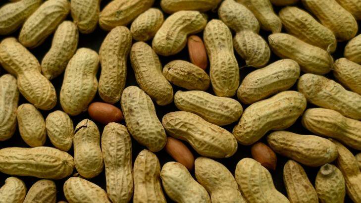 About three per cent of babies are allergic to peanuts. Photo: Patrick Sison