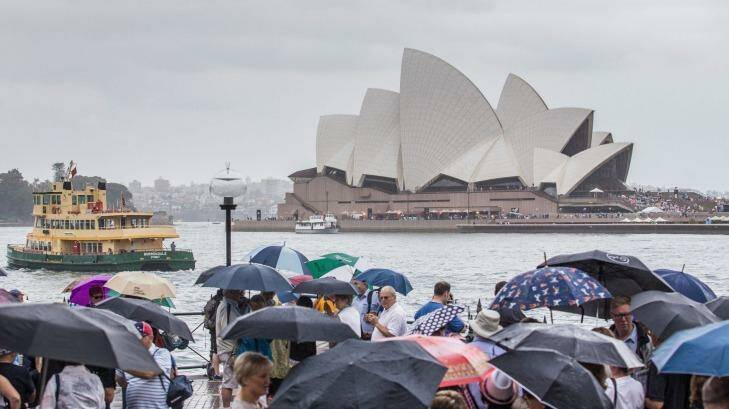 Onlookers huddled under umbrellas to watch the iconic Sydney ferries arrive, ready for the annual Australia Day Ferrython. Photo: Cole Bennetts