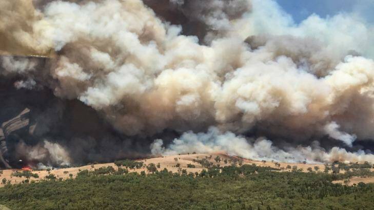The Sir Ivan bushfire, near Dunedoo, in February.  Photo: NSWRFS