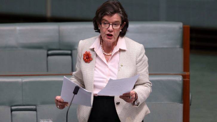 Independent MP Cathy McGowan has been in talks with MPs from across the parties on a multi-party same-sex marriage bill. Photo: Andrew Meares