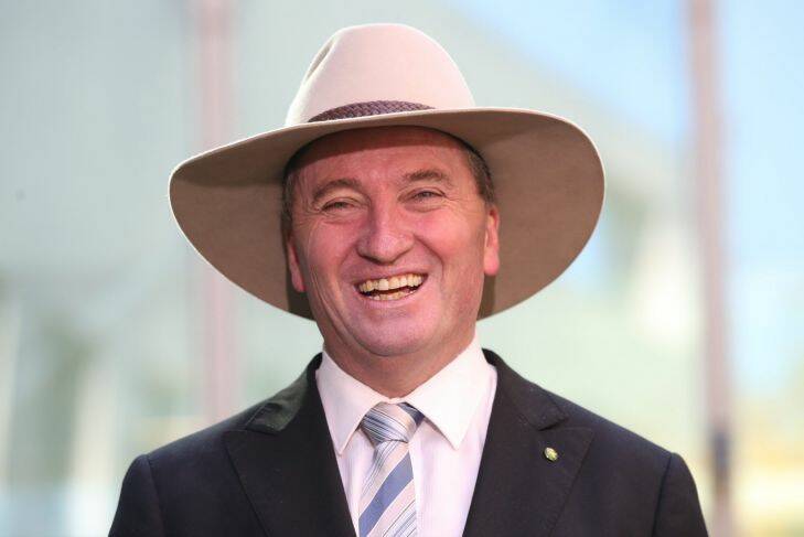 Deputy Prime Minister Barnaby Joyce during a press conference at Parliament House in Canberra on Thursday 20 April 2017. Photo: Andrew Meares  Photo: Andrew Meares