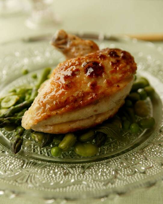 Jill Dupleix's spring chicken with asparagus, peas and broad beans <a href="http://www.goodfood.com.au/good-food/cook/recipe/spring-chicken-with-asparagus-peas-and-broad-beans-20111019-29v78.html"><b>(recipe here).</b></a> Photo: Jennifer Soo