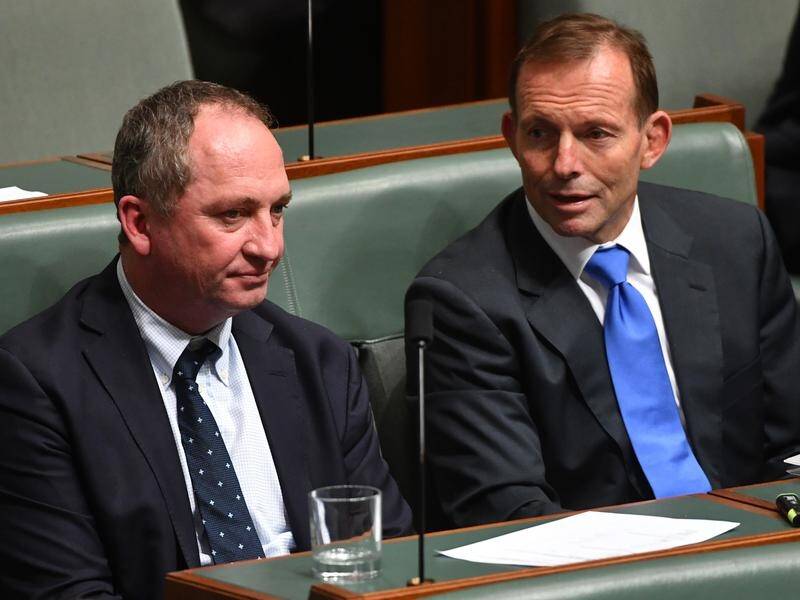 Tony Abbott has criticised Malcolm Turnbull's handling of the Barnaby Joyce crisis (file).