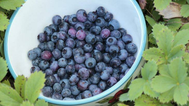 Blueberries are also selling cheaply.   Photo: Supplied