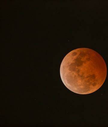 Saturday's blood moon will be the last Australians will see until 2018. Photo: Geoff Wyatt