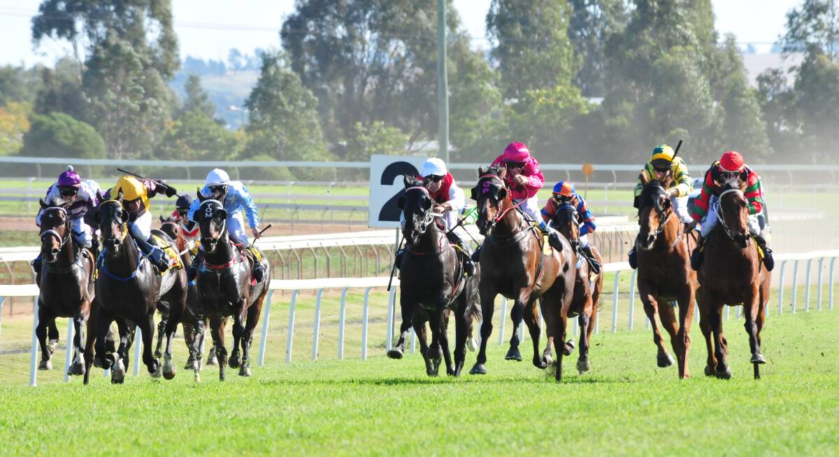 KICKING AWAY: Graham Lynch onboard All For Kicks (furthest right) flies home to win at Dubbo Turf Club on Sunday. Photo: KATHRYN O'SULLIVAN