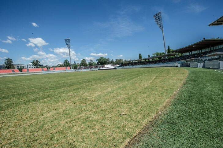 The Manuka Oval turf has been lifted and resurfaced. New turf.