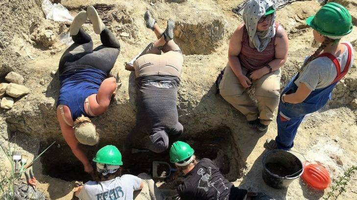 ANU students carry out excavation of a Transylvanian cemetery in Romania.  Photo: Supplied