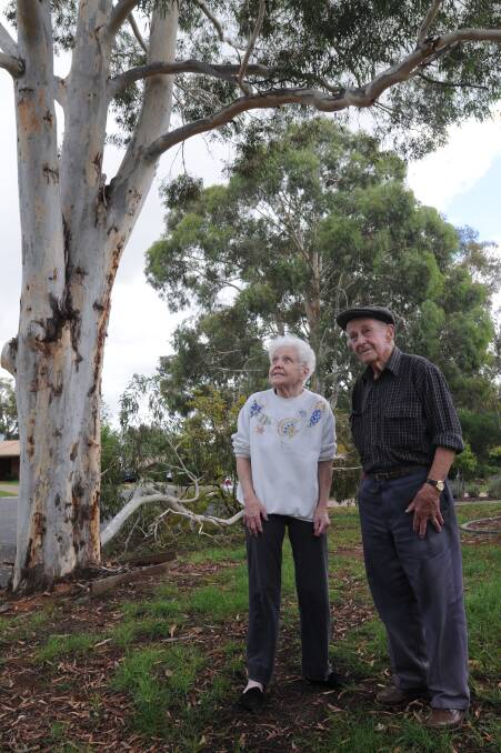 Mr Parkes and his neighbour Pam Cassidy want the trees removed after a large branch fell on Saturday morning.