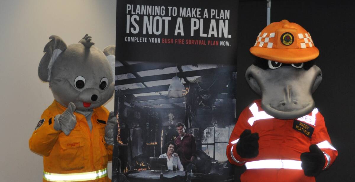 COMBINED POWERS: NSW Rural Fire Service mascot Kliffy the Koala and State Emergency Services mascot Paddy the Platypus will be at the Open Day on Saturday. Photo: CONTRIBUTED 