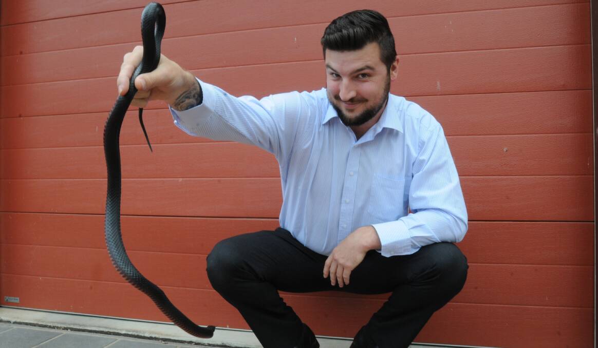 CAUGHT RED-BELLIED: Orange Snake Service’s Jake Hansen removed two snakes on the weekend. Photo: STEVE GOSCH