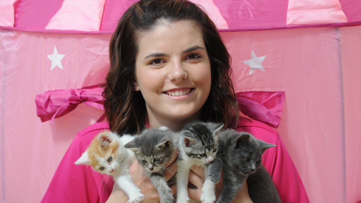 NOT KITTEN AROUND: Laura Ferguson with four kittens who are looking for a home. Photo: STEVE GOSCH   1114sgcats