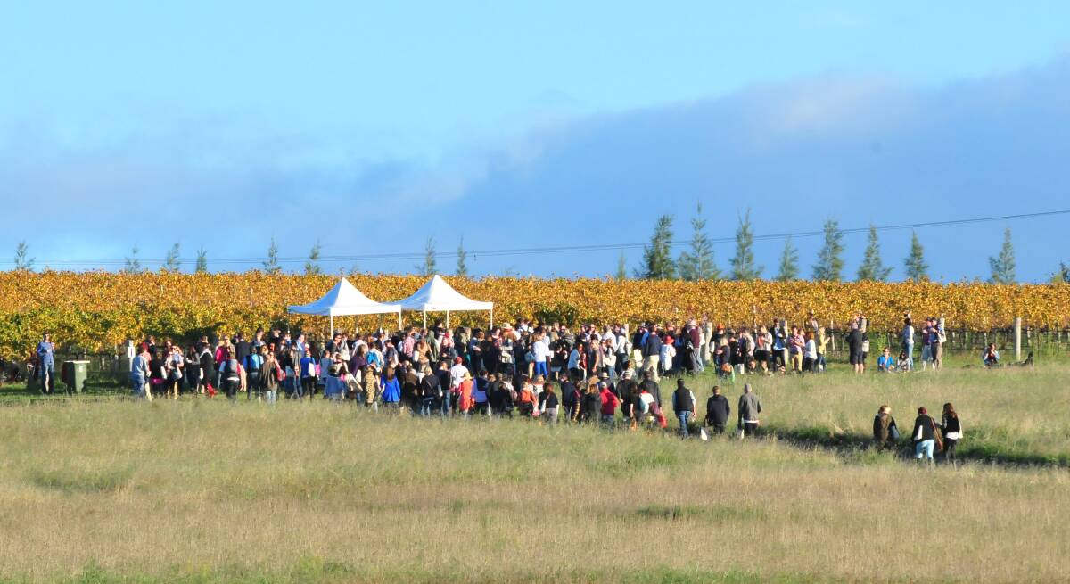 BIG CROWD: Saturday's Forage attracted about 1000 participants.