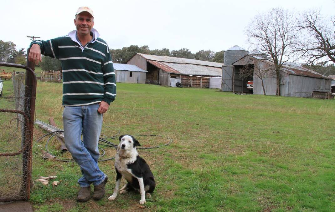 KATTER PARTY CANDIDATE: Tom Harris with his dog Lil on his farm near Molong. Photo: MICHELLE BARKLEY
