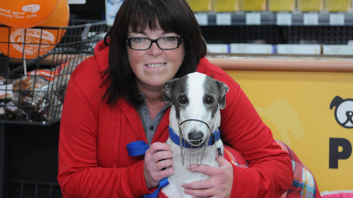 SAVING GREYHOUNDS: Jodie Geach rescued greyhound Davey two weeks ago and is encouraging people to sponsor the care of a greyhound.
Photo: STEVE GOSCH 0503greyhound
