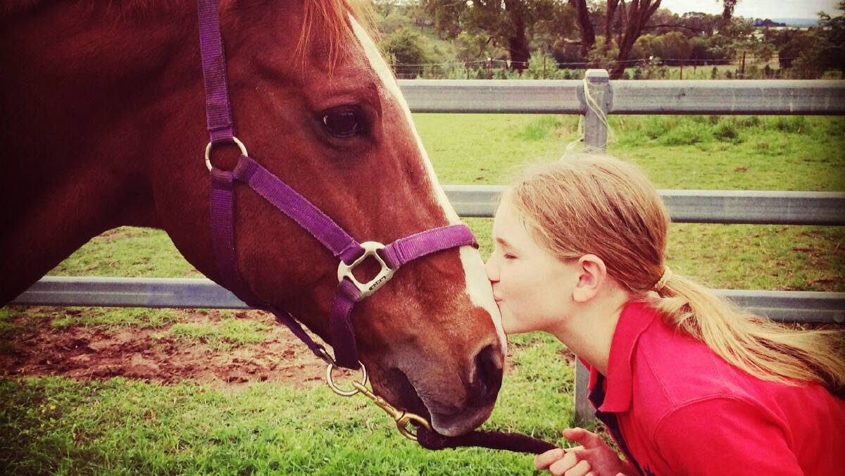 Reader-contributed photos of their best friends to celebrate the horse's birthday.