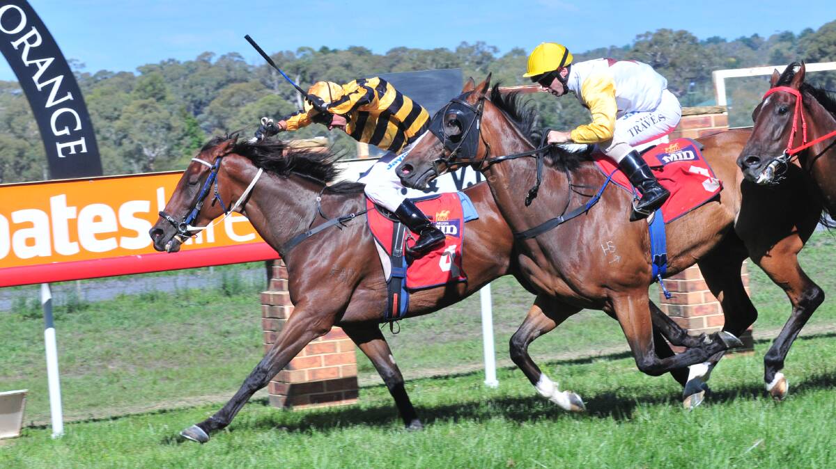 A GOOD BET: Jockey Greg Ryan (black and gold) urges Fox Solid to the winning post at Towac Park. Orange City Council has pledged $400,000 for track upgrades at Towac Park over the next four years. Photo: JUDE KEOGH     0311races2