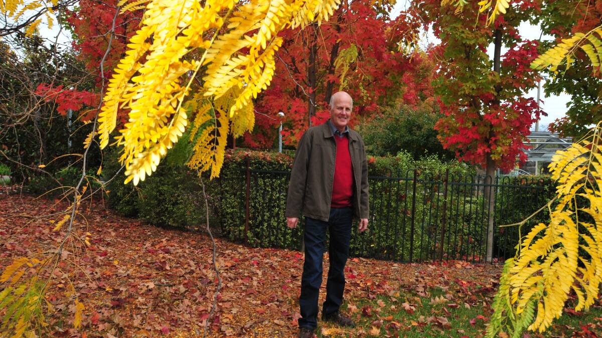 COLOUR CITY: Councillor Neil Jones enjoys the autumn colours at the Orange Botanic Gardens. Photo: JUDE KEOGH 0502colours3