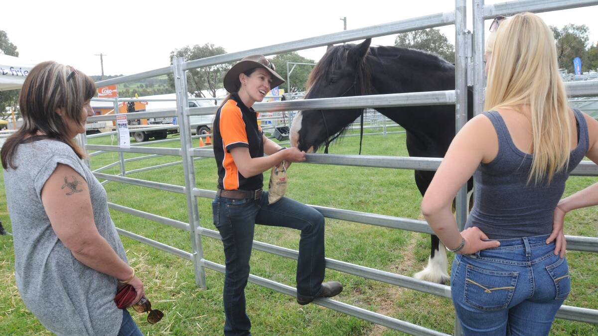 HORSE ATTRACTION: Jes Jonkmans talks to Australian National Field Days visitors about her Clydesdale Kate, which she used to demonstrate heavy horse long reigning yesterday.  Photo: STEVE GOSCH 	  1023sgfield6	