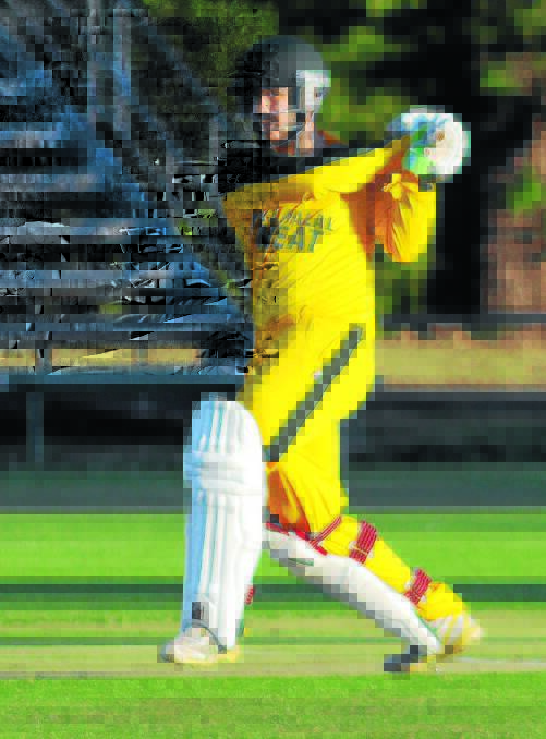 CANARY YELLOW?!: Blayney's day-night uniform leaves a lot to be desired ... in Cricki Leaks' humble opinion.
