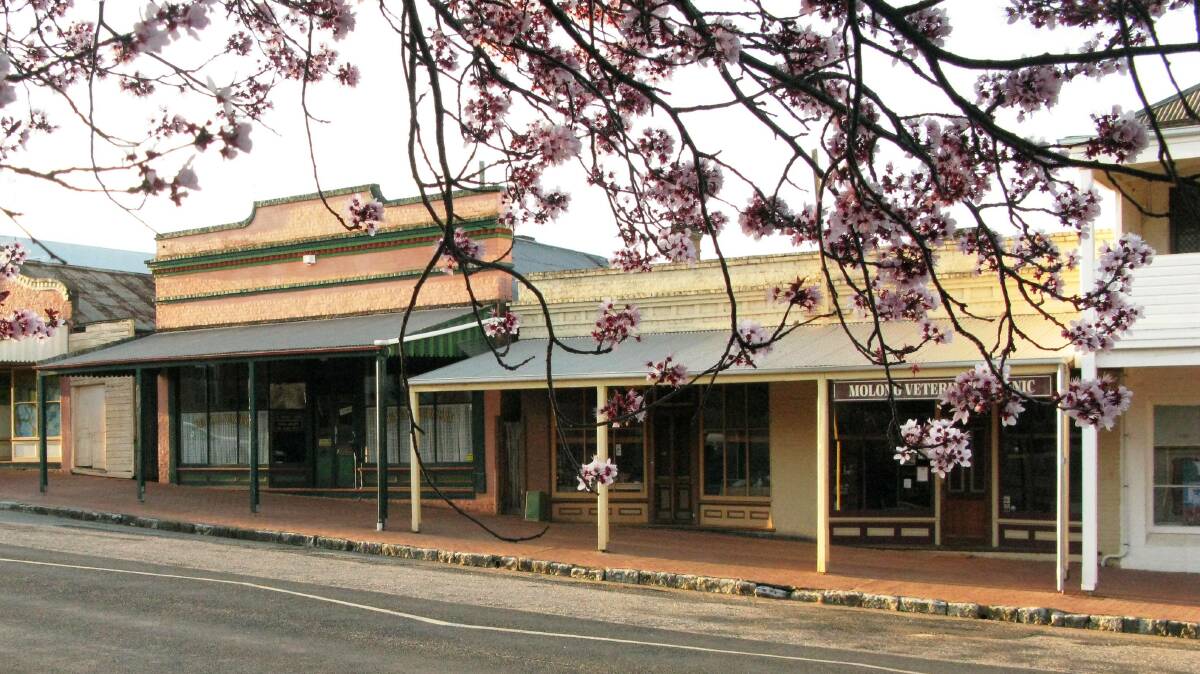 POSSIBLE REPAINT: Bank Street, Molong. Photo supplied.
