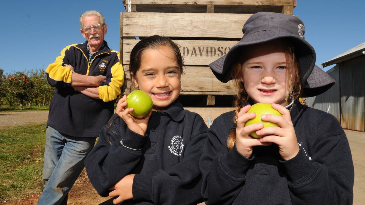 ORCHARD VISIT: Sangriel Sio, 7, and Ava Ward, 6, enjoy the fruits of a visit to Max Davidson’s orchard yesterday. Mr Davidson hosted a tour of year 1 students from St Mary’s Catholic Primary School in the lead-up to the Orange Apple Festival.  
Photo: STEVE GOSCH 0508sgapples
