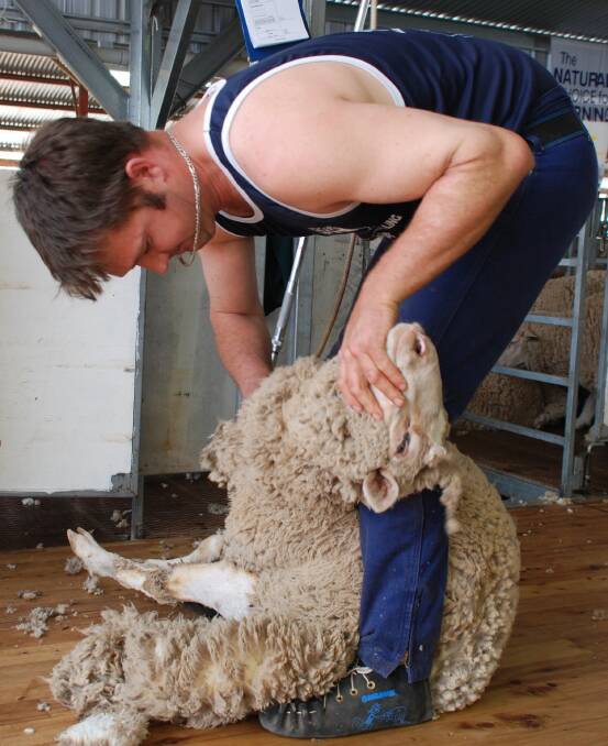 ON THE BOARD: Australian champion Jason Wingfield will defend his title at the National Shearing and Woolhandling Championship at Old Errowanbang  Woolshed in November. 
