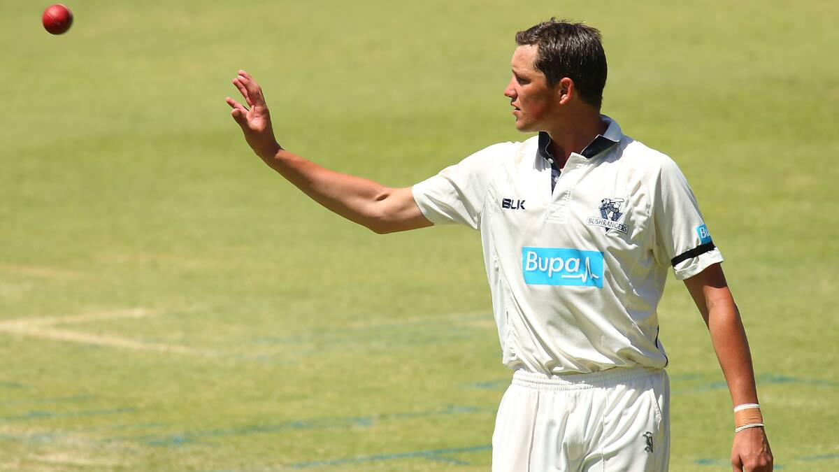 DOUBLING UP: Tremain was part of the Victorian Bushrangers squad that won this summer's Sheffield Shield. Photo: GETTY
