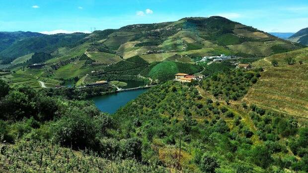MAJESTIC: The Douro Valley in Portugal.