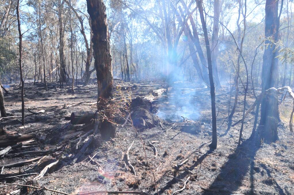 DAMAGE: The Lower Lewis Ponds Road fire. Photo: JUDE KEOGH