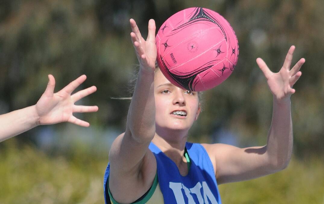 All the weekend's junior netball, soccer and rugby league action