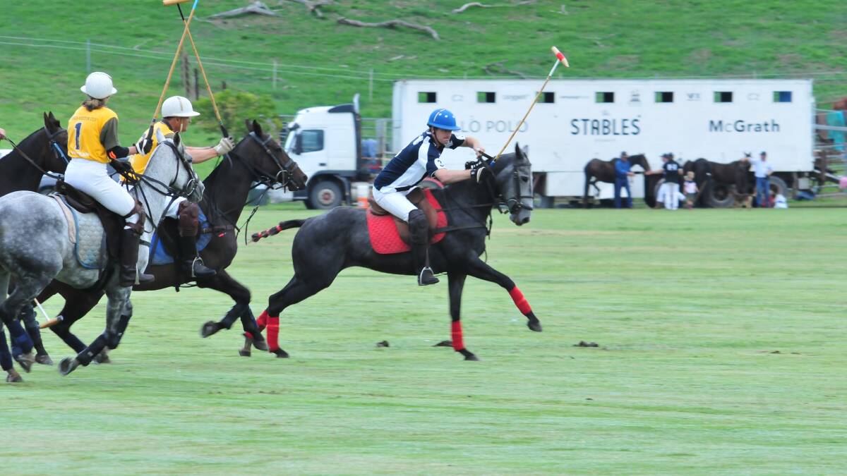 ALL ACTION: Man and best work together at the 2014 Millamolong Polo Carnival on Saturday. Photo: JUDE KEOGH