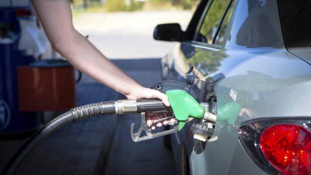 STOP PRESS: Ethanol petrol plan a Baird idea for discerning motorists