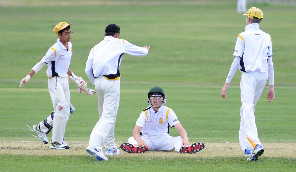 All of our photos from day one of the four-day cricket carnival in Orange