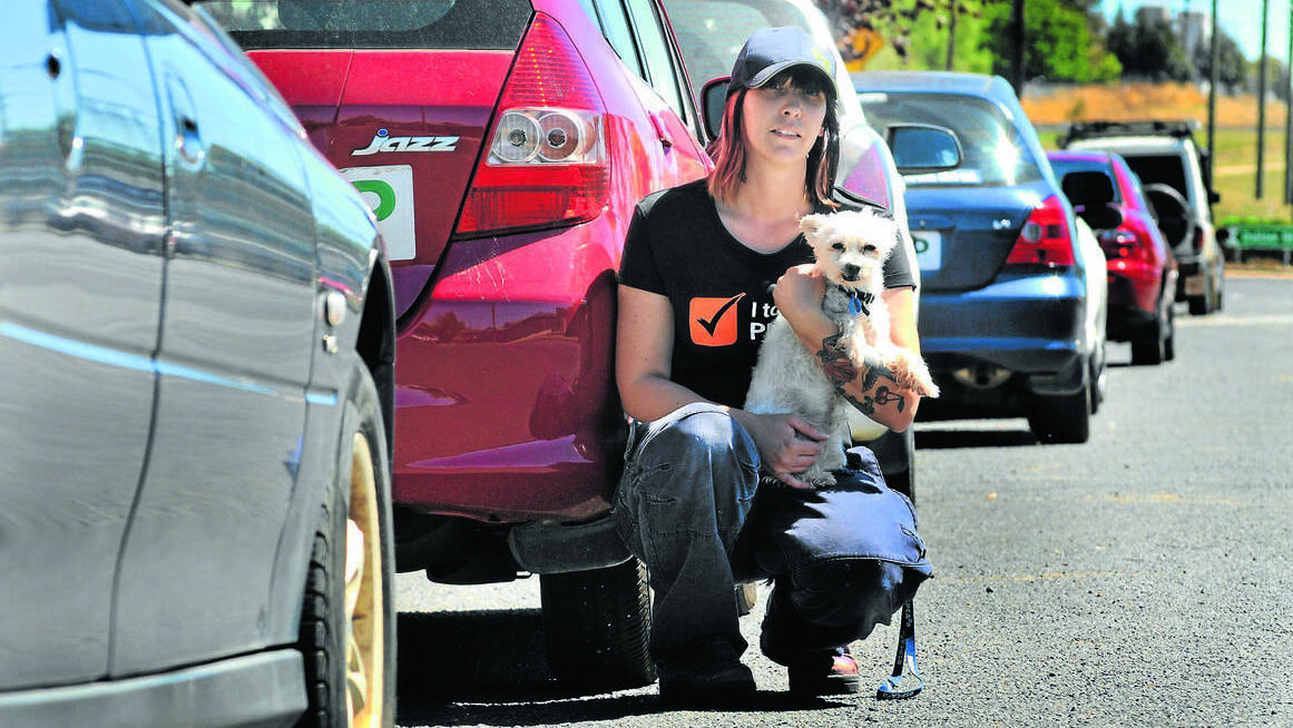 ORANGE: RSPCA animal attendant Carly Hudson, with eight-year-old Tyson, supports the organisation’s push to remind people of the dangers of animal heat exhaustion in cars. Photo: STEVE GOSCH 0130sgrspca1