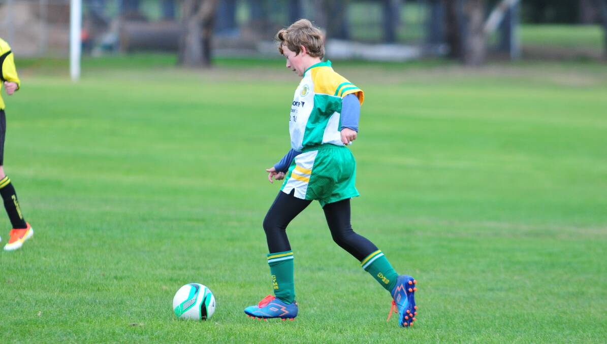 ROOM TO MOVE: CYMS' Josh Streatfield enjoys the open space on Saturday. Photo: JUDE KEOGH