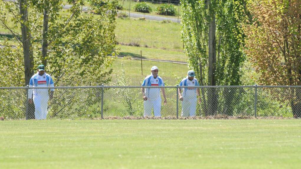 PRIORITY: Plans to make Riawena Oval a leash-free area shouldn't push inconvenience the city's cricketers.