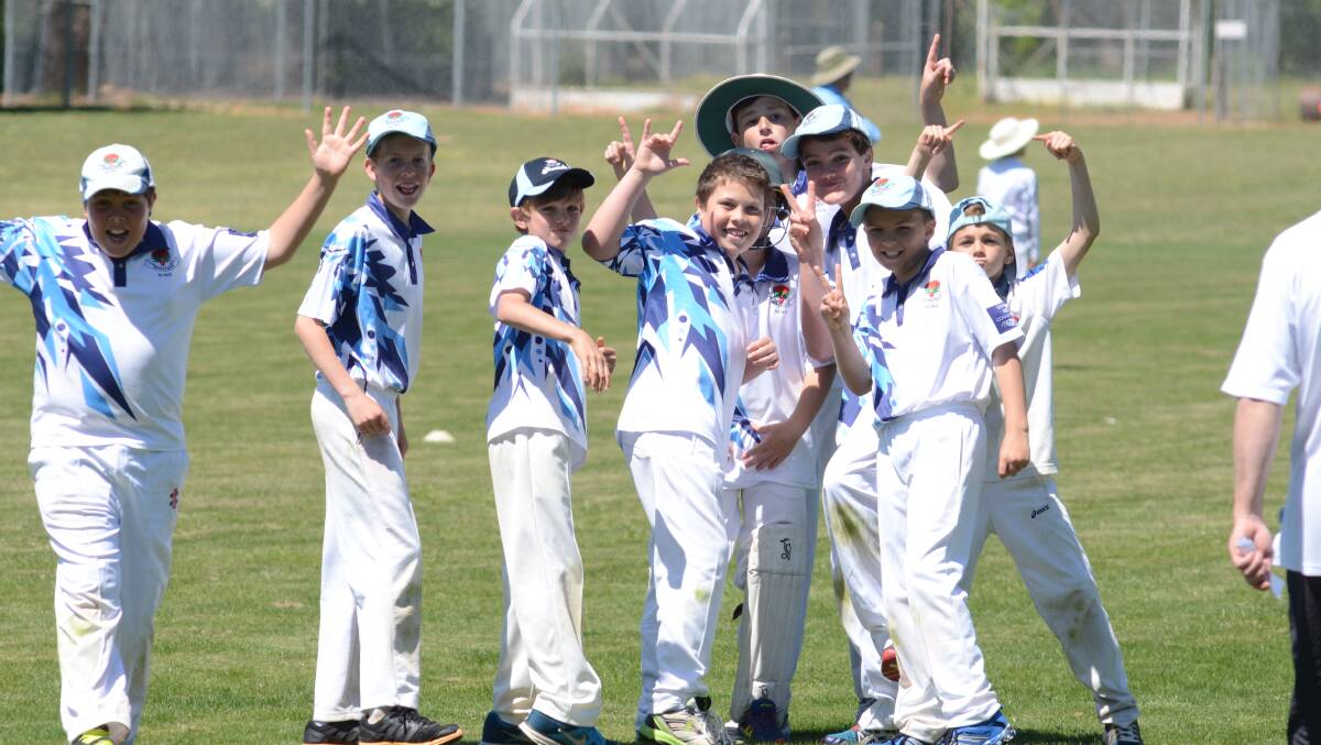 All the action from Saturday's junior cricket and softball fields