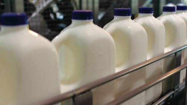 OUR SAY: Paying more than we bargained for could help save the dairy industry