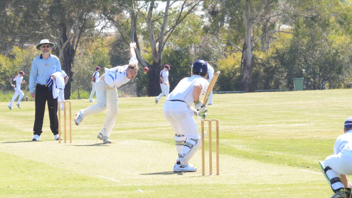 All the action from Saturday and Sunday's Mitchell Cricket Council carnival in Orange