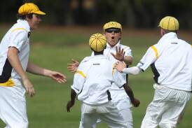 DAY TWO: Blacktown celebrate wicket against ACT under 15's. Photo: PHIL BLATCH