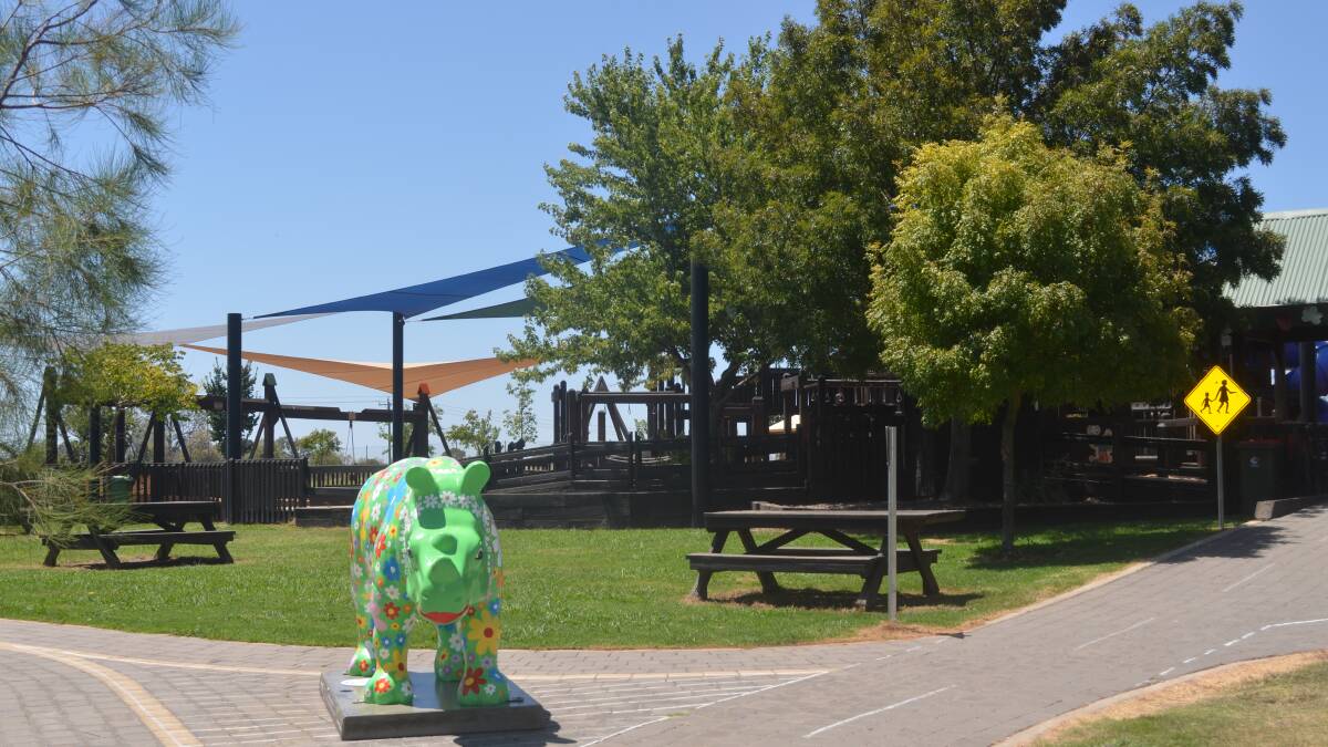 PLENTY OF PLAY TIME: North Orange residents are fortunate to have the adventure playground in their backyards - but what other services does the growing area need?