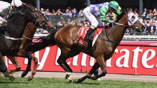 BOOKIES' FAVOURITE: Prince Of Penzance wins the Melbourne Cup.