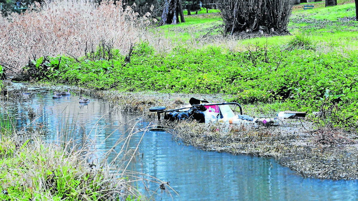 DUMPING GROUND: Orange residents continue to use the city’s waterways, including Blackmans Swamp Creek, as a rubbish tip. Photo: JUDE KEOGH 0715garbage2