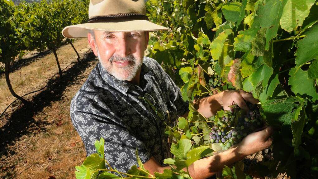 ORANGE: A LACK of rain has not been all bad news for the region’s vignerons with an intense flavour expected for the 2014 vintage. Charles Sturt University wine maker Justin Byrne said the dry weather had produced smaller sized grapes but the smaller the grape, the higher the intensity of flavour. 