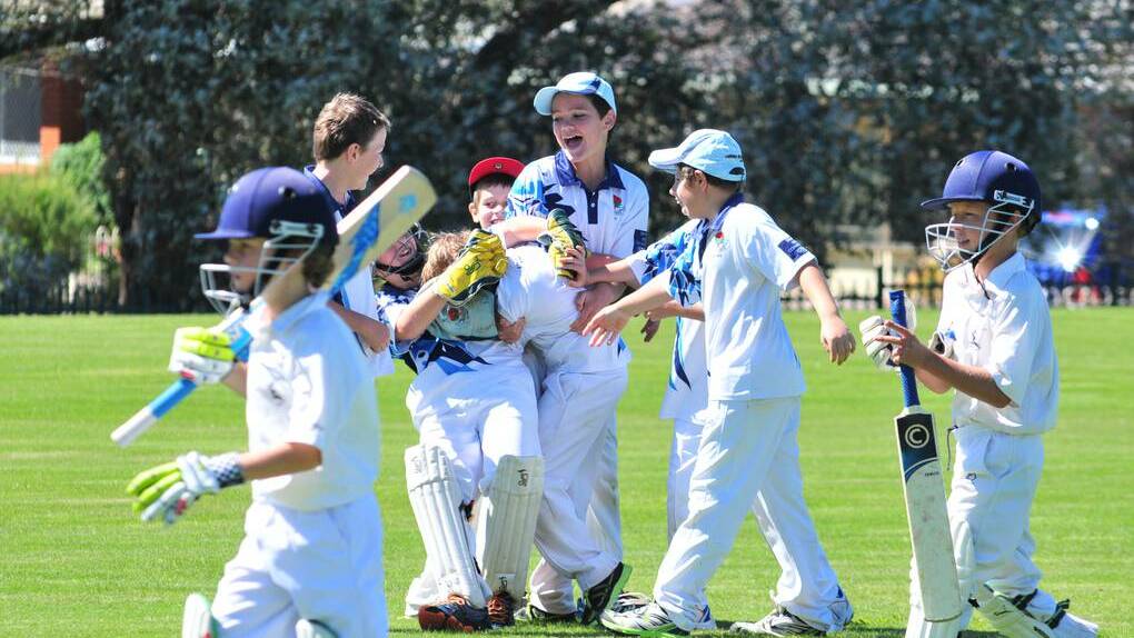 ORANGE: Waratahs' players congratulate Nash MacLean on his catch in junior cricket on Saturday. Photo: JUDE KEOGH